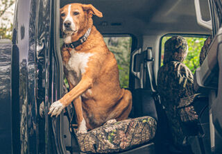 Other Interior Accessories Tile Image